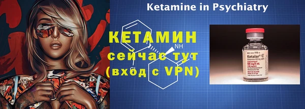 шишки Горняк