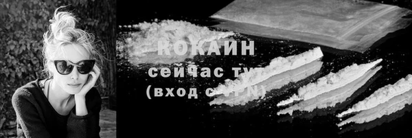 шишки Вяземский