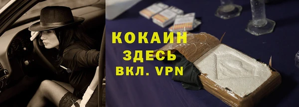 шишки Вяземский