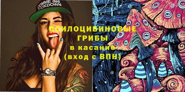 шишки Горняк