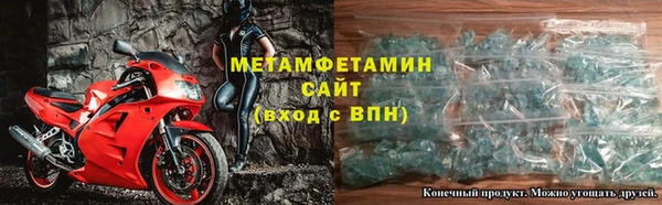 шишки Верея