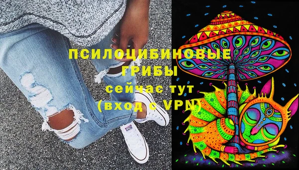 сатива Горнозаводск