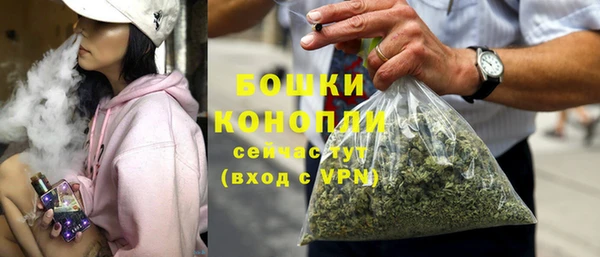 шишки Горняк