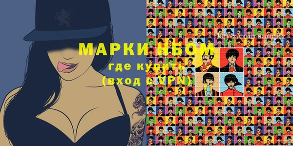 шишки Горняк