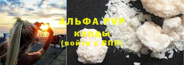 шишки Горняк